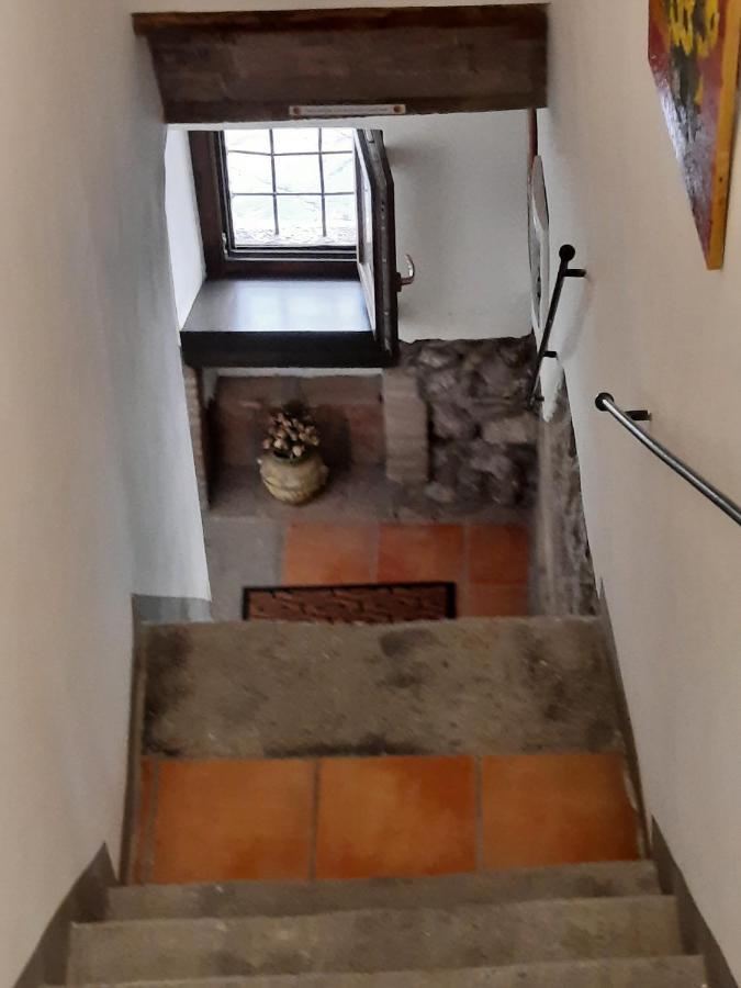 Viterbo Alloggio Turistico Hipster House Экстерьер фото